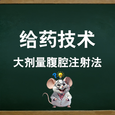 大剂量腹腔注射
