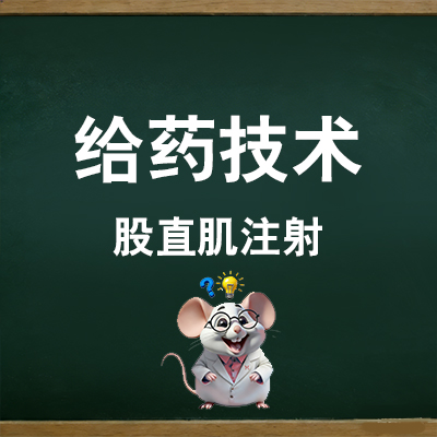 股直肌注射