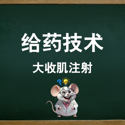 大收肌注射