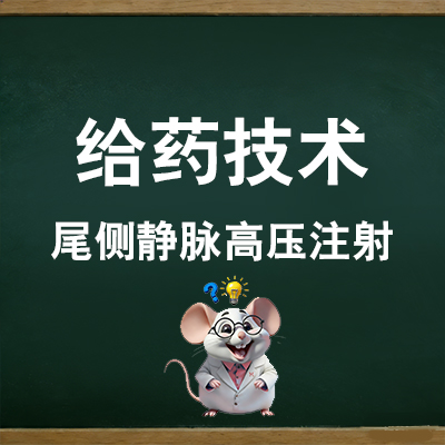 尾侧静脉高压注射