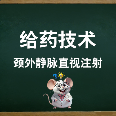 颈外静脉直视注射