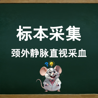 颈外静脉直视采血