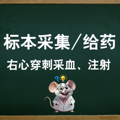 右心穿刺采血、注射