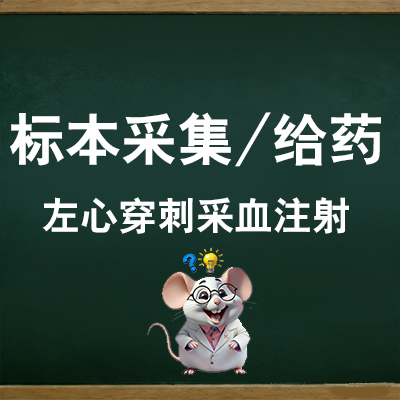 左心穿刺采血注射